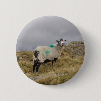 Punk schapen ronde button 5,7 cm