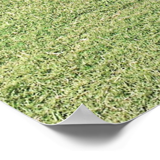 Punker Poster (Hoek)