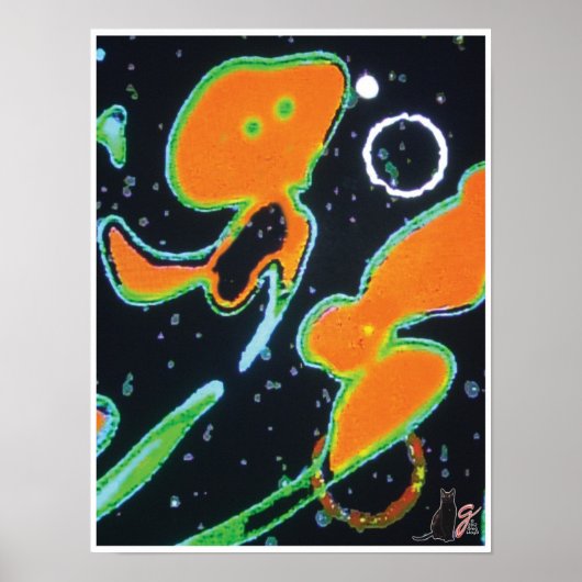 Punkin KC Afbeelding Poster (Voorkant)