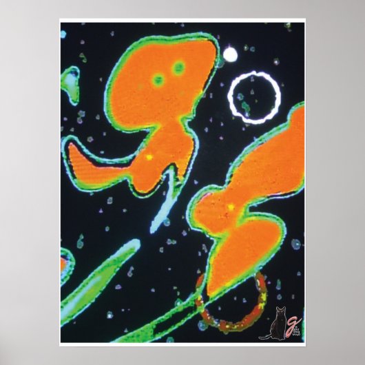 Punkin KC Afbeelding Poster (Voorkant)