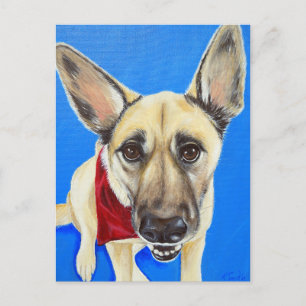 Punkin Painting Briefkaart