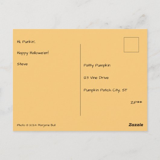 Punkin' Shell Briefkaart (Achterkant)