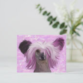 Punky2 Briefkaart (Staand voorkant)