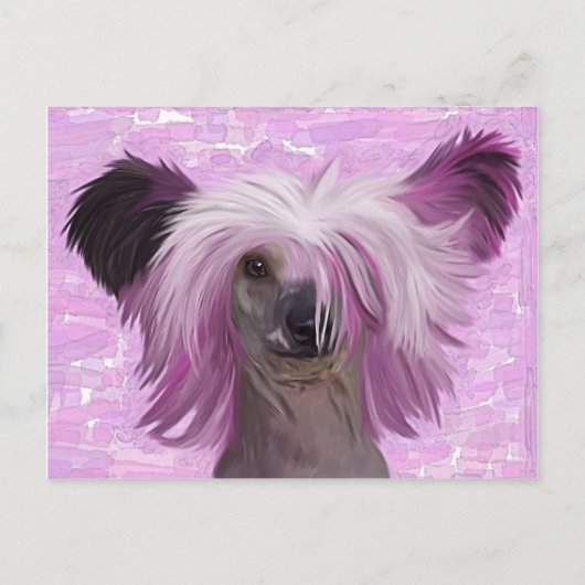 Punky2 Briefkaart (Voorkant)