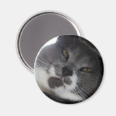 Punt 2 magneet (Voorkant / Achterkant)