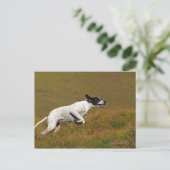 Punt. Canis lupus familiaris Briefkaart (Staand voorkant)