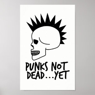 Punt niet dood...maar Skull White Poster