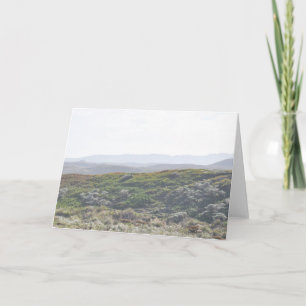 Punt Reyes Hillside - Wenskaart Kaart