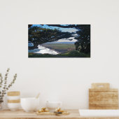 Punt Reyes onder bomen Poster (Keuken)