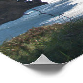 Punt Reyes onder bomen Poster (Hoek)