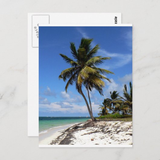 Punta Cana, Dominicaanse Republiek, kokospalm Briefkaart (Voorkant / Achterkant)