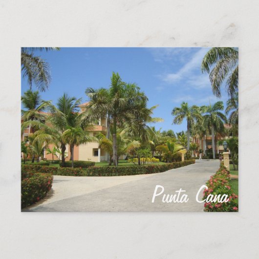 Punta Cana Post Card Briefkaart (Voorkant)