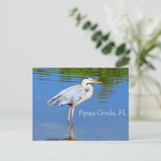 Punta Gorda, FL Briefkaart (Staand voorkant)
