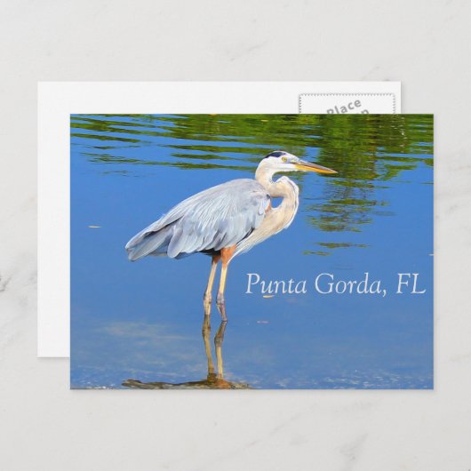 Punta Gorda, FL Briefkaart (Voorkant / Achterkant)