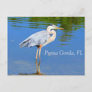 Punta Gorda, FL Briefkaart