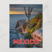 Punta Lobos, Baja California, Mexico Briefkaart (Voorkant)