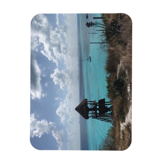 Punta Sur, Isla Mujeres, Mexico Foto Magnet Magneet (Verticaal)