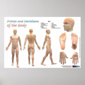 Punten en meridianen van het lichaam poster (Voorkant)