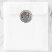 Punten uit de Phiddipus Jumping Spider-reeks Ronde Sticker (Tas)
