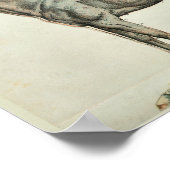 Punten van de  Anatomy Print van de Paarden (Hoek)