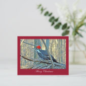 Punten van Kerstmis van de Specht van Pileated de Feestdagenkaart (Staand voorkant)