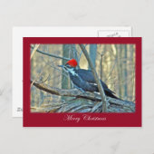 Punten van Kerstmis van de Specht van Pileated de Feestdagenkaart (Voorkant / Achterkant)