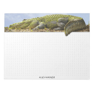 Puntraster - Natuur fotografie Huge Gator Panorama Notitieblok
