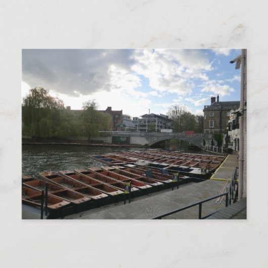 Punts on the River Cam in Cambridge Briefkaart (Voorkant)