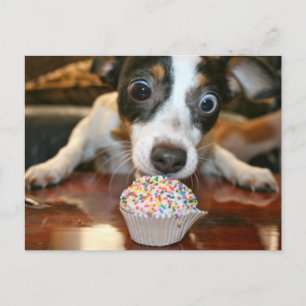 Pup Cake Postcard Briefkaart