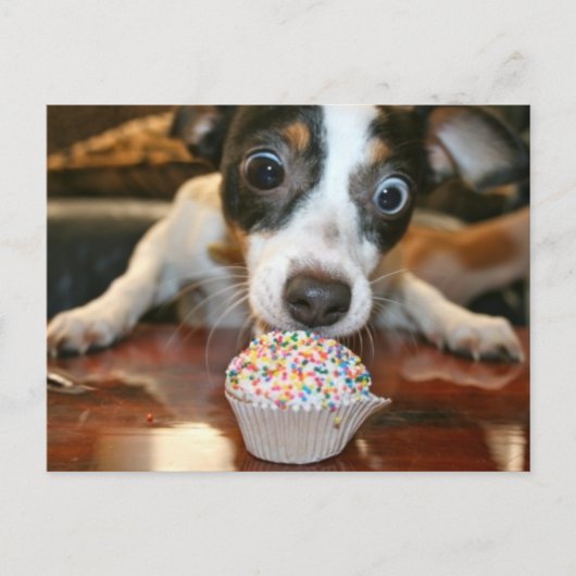 Pup Cake Postcard Briefkaart (Voorkant)