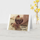 PUP DRAAGT HAAR STRIKKEN OP JE VERJAARDAG KAART (Gele Bloem)