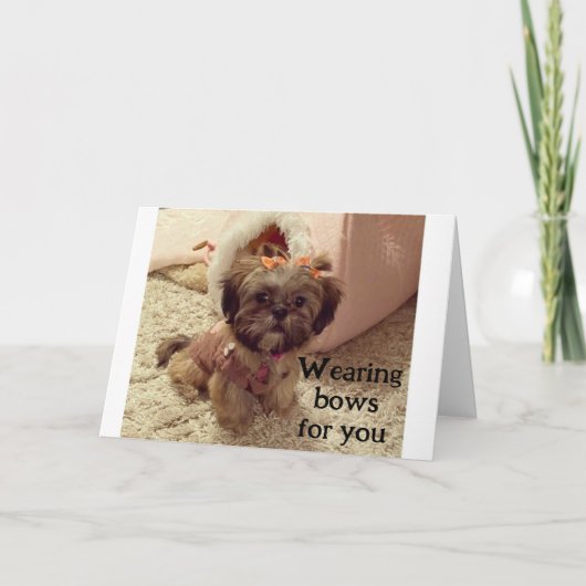 PUP DRAAGT HAAR STRIKKEN OP JE VERJAARDAG KAART (Voorkant)