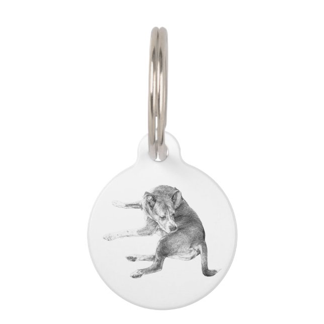 Pup Fun Tag Huisdierpenning (Voorkant)