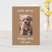 PUP HELPS ZEGGEN **HAPPY BIRTHDAY TWIN** KAART (Gele Bloem)