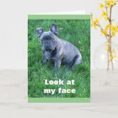 PUP HELPS ZEGGEN **HAPPY BIRTHDAY TWIN* KAART (Gele Bloem)