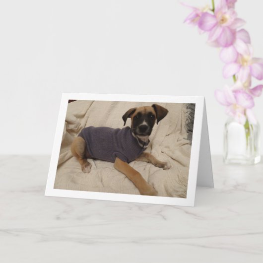 Pup in een Trui Kaart (Orchidee)