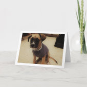 Pup in een trui kaart (Voorkant)