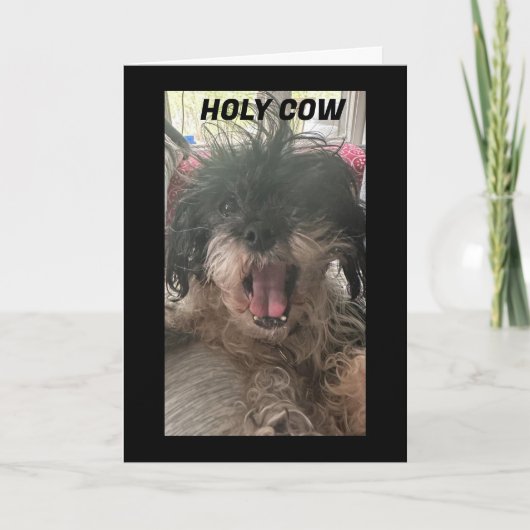 PUP IS VERBIJSTERD HOE HEB JE "60" VERANDERD KAART (Voorkant)