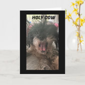 PUP IS VERBIJSTERD HOE HEB JE "60" VERANDERD KAART (Gele Bloem)