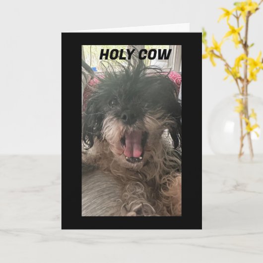 PUP IS VERBIJSTERD HOE HEB JE "60" VERANDERD KAART (Gele Bloem)