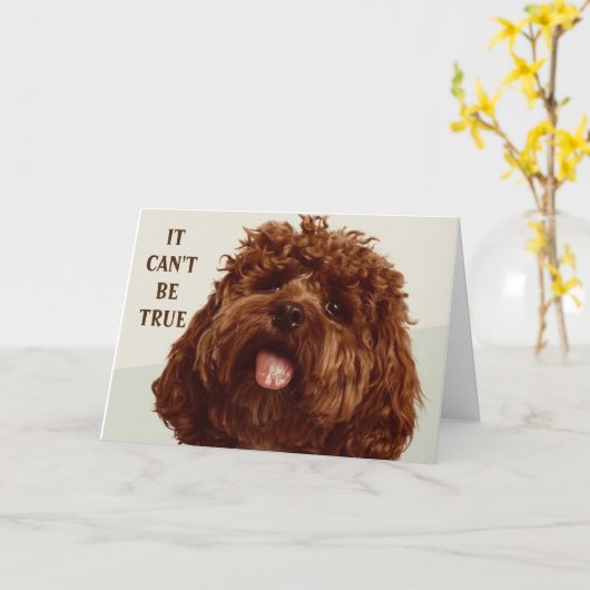 PUP KAN GEWOON NIET GELOVEN DAT JE * 80 * VERJAARD KAART (Gele Bloem)