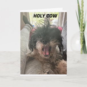 PUP KAN HET GEWOON NIET GELOVEN! U R "40" KAART