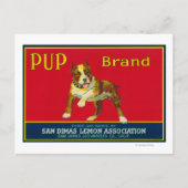 Pup Lemon LabelSan Dimas, CA Briefkaart (Voorkant)