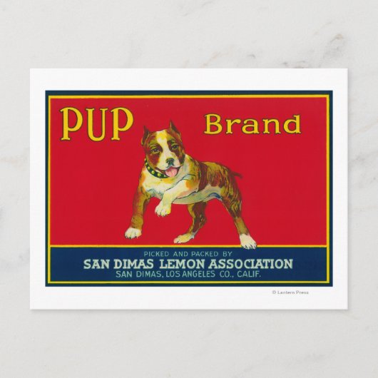Pup Lemon LabelSan Dimas, CA Briefkaart (Voorkant)