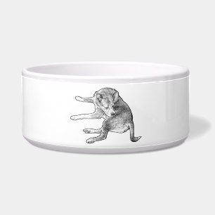 Pup Maaltijd Pret Voerbakje