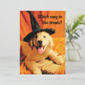 Pup met heksenhoed en bezem kaart (Staand voorkant)