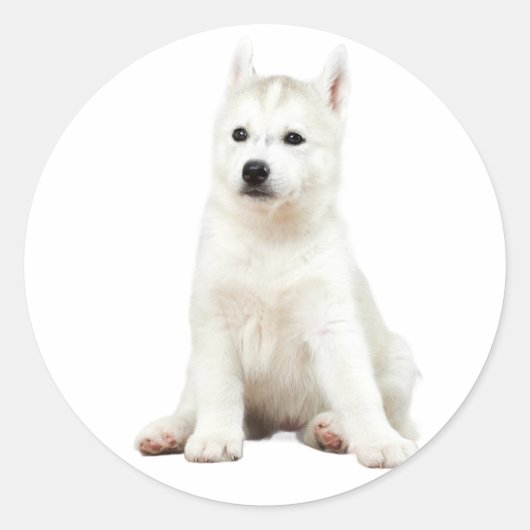 Pup Perfection - Schattige Stickers (Voorkant)