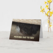 PUP SPREEKT UIT OM GELUKKIGE "40E" VERJAARDAG TE Z KAART (Gele Bloem)