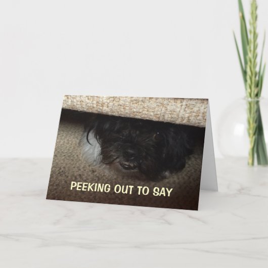 PUP SPREEKT UIT OM GELUKKIGE "40E" VERJAARDAG TE Z KAART (Voorkant)