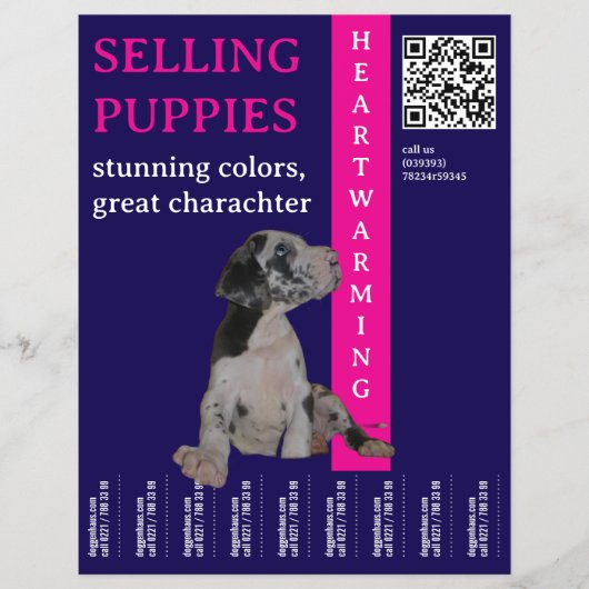 Pup te koop  flyer (Voorkant)